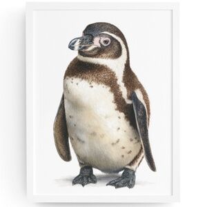 Watercolor Humboldt Penguin Wall Art Print, Unframed - Charming Coastal Elegance